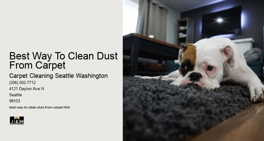 Best Way To Clean Dust From Carpet