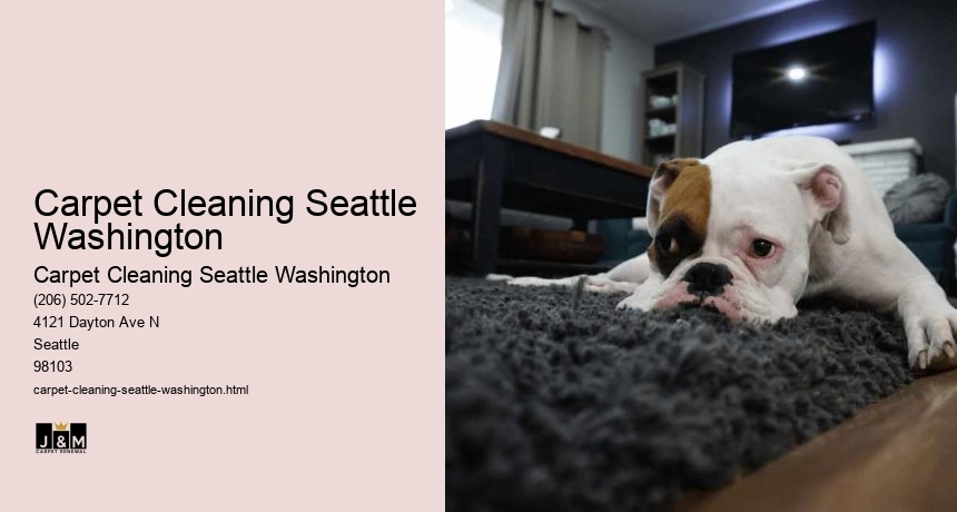 Carpet Cleaning Seattle Washington
