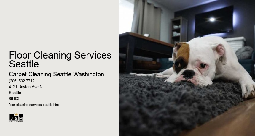 Floor Cleaning Services Seattle