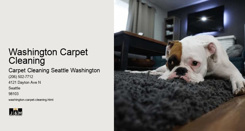 Washington Carpet Cleaning